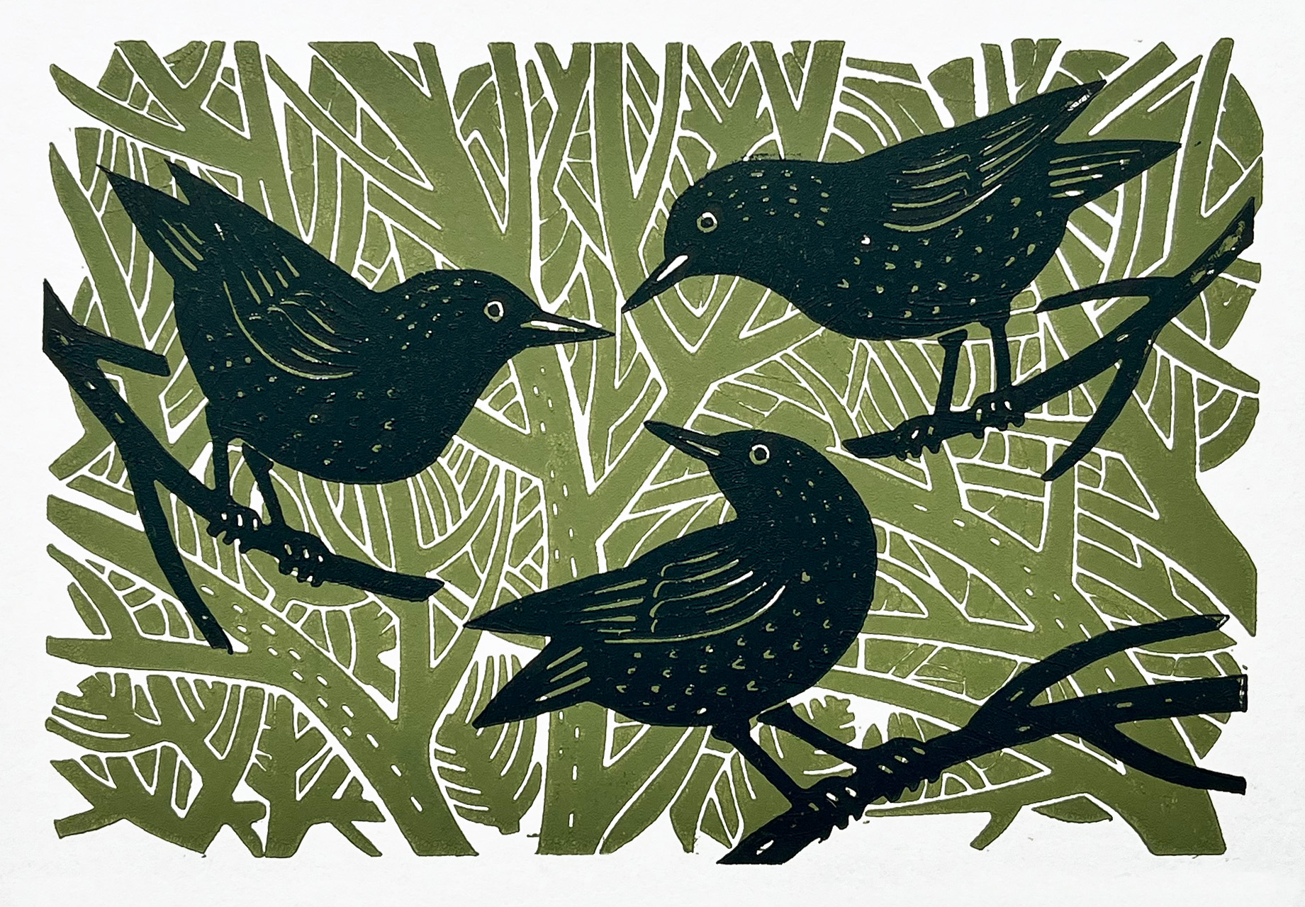 Andrew Sahrman - Three Starlings